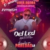 DEL LED - ARROCHA NO PAREDÃO 2024