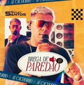 RICLEY SANTOS - BREGA DE PAREDAO 1.0 2026 PRA COMER AGUA