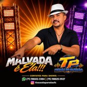 TIOZÃO DO PAREDÃO - MALVADA É ELA - 2027