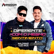 Naldinho e Leo Rios - Diferente mas com o mesmo sentimento - 2025