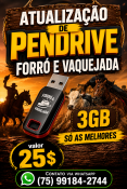 ATUALIZAÇÃO DE PENDRIVE FORRÓ E VAQUEJADA - 3GB - SÓ AS MELHORES
