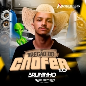 BRUNINHO CHOFER - CD BREGÃO DO CHOFER 1.0 - 2025