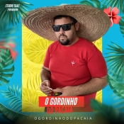 O GORDINHO DO PACAIA - EP MEDIOS ALTERADOS - AGOSTO - 2024