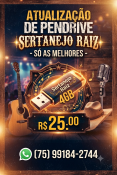 ATUALIZAÇÃO DE PENDRIVE SERTANEJO RAIZ - 4GB - SÓ AS MELHORES